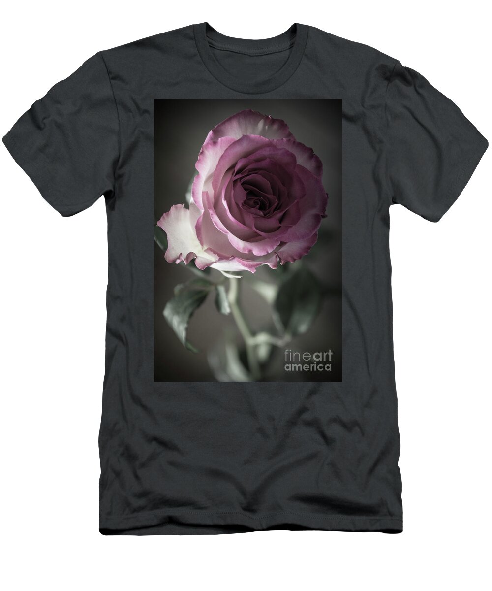 Nature T-Shirt featuring the photograph Birthday Rose by Deborah Klubertanz