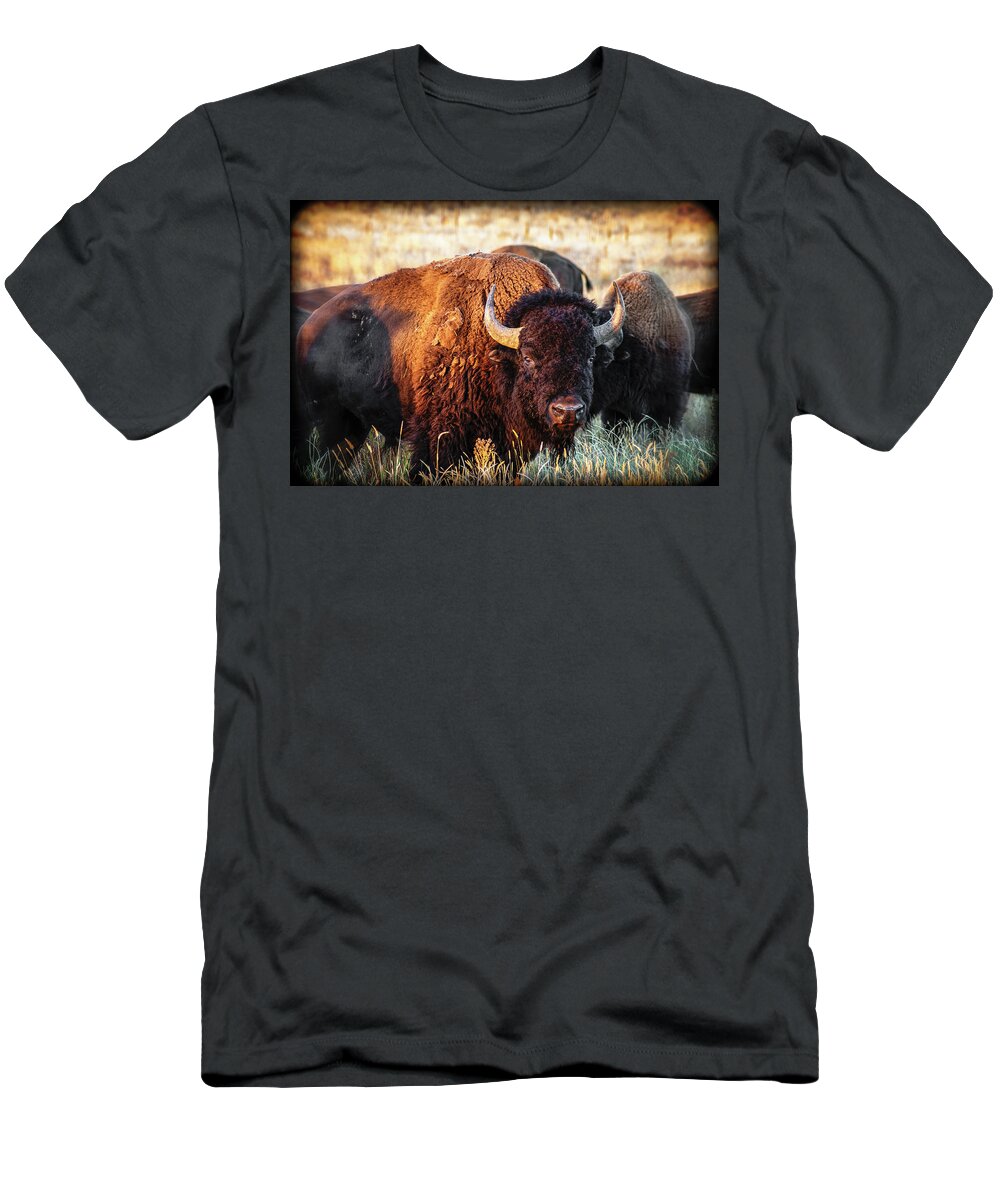 Animals T-Shirt featuring the photograph Bison #2 by John Strong