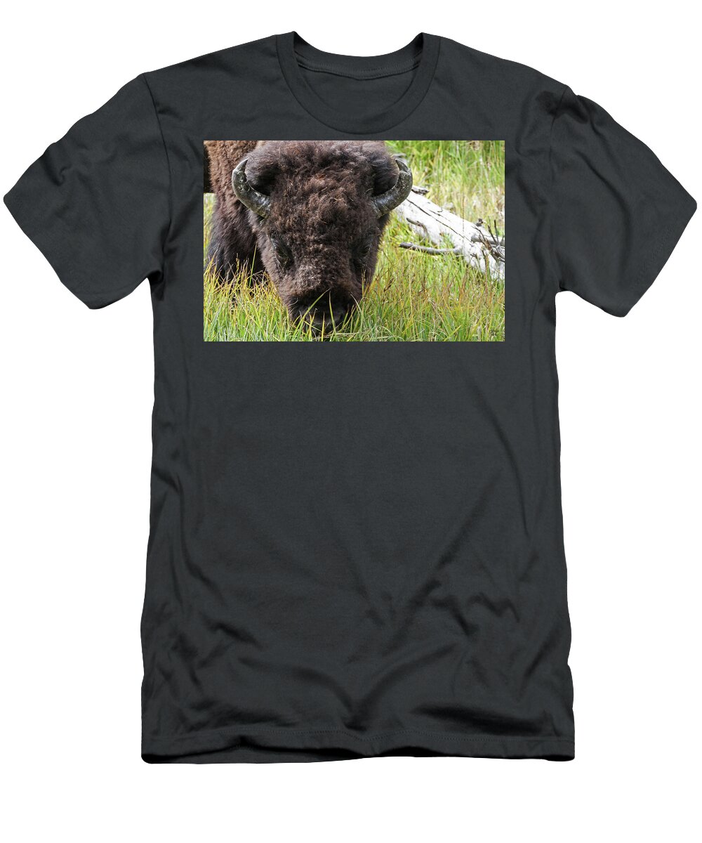Bison Bull; Wildlife; Bison; T-Shirt featuring the photograph Bison Bull #3 by Brett Pelletier