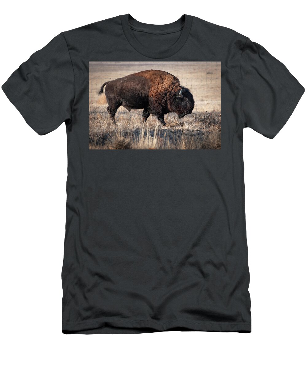 Bison T-Shirt featuring the photograph Bison by Catherine Lau