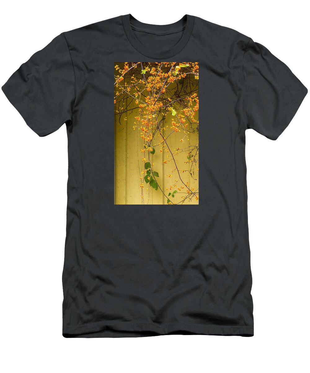 Cone Flowers T-Shirt featuring the photograph Bittersweet Vine by Tom Singleton