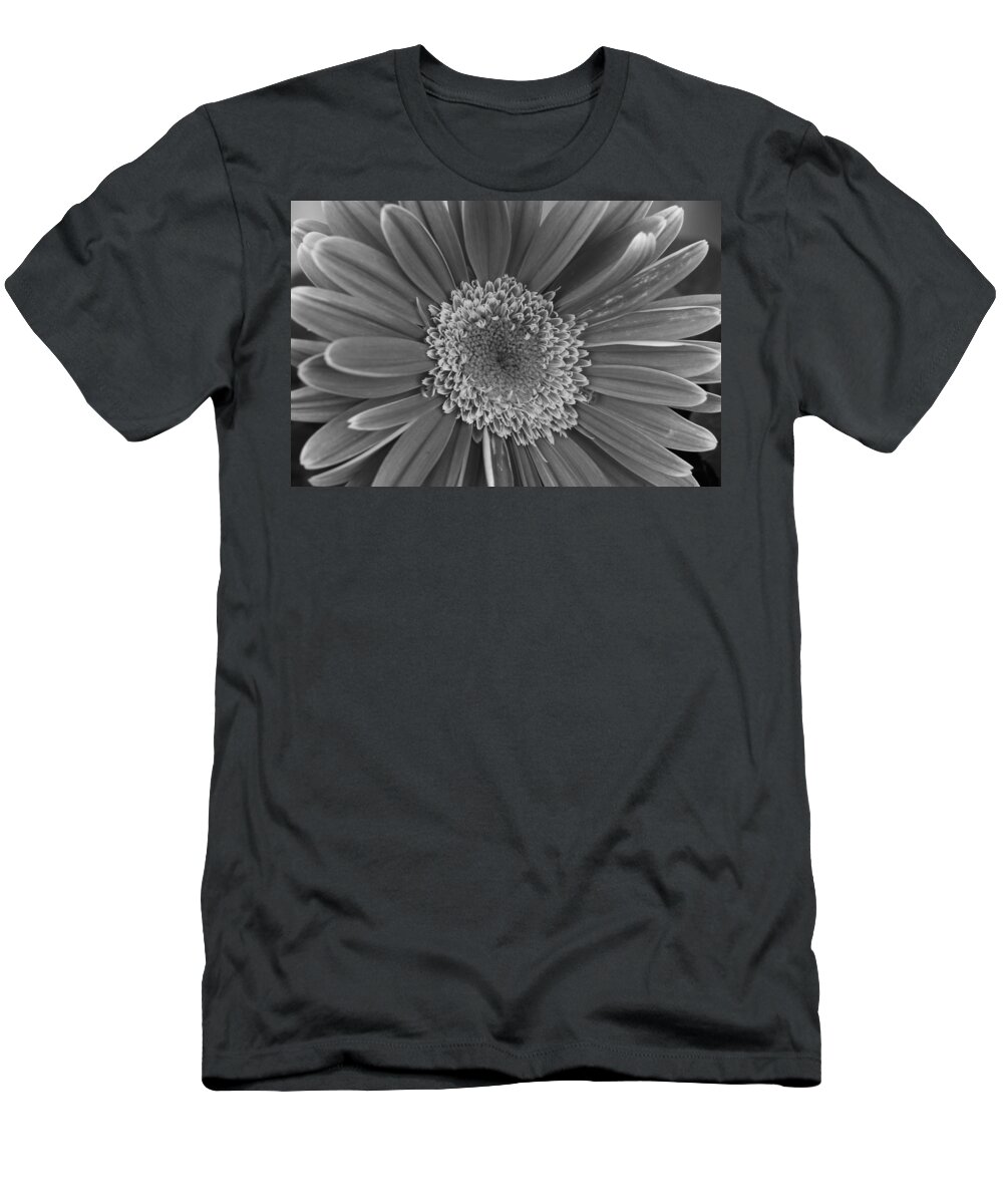 Flower T-Shirt featuring the photograph Black and White Gerber Daisy 4 by Amy Fose