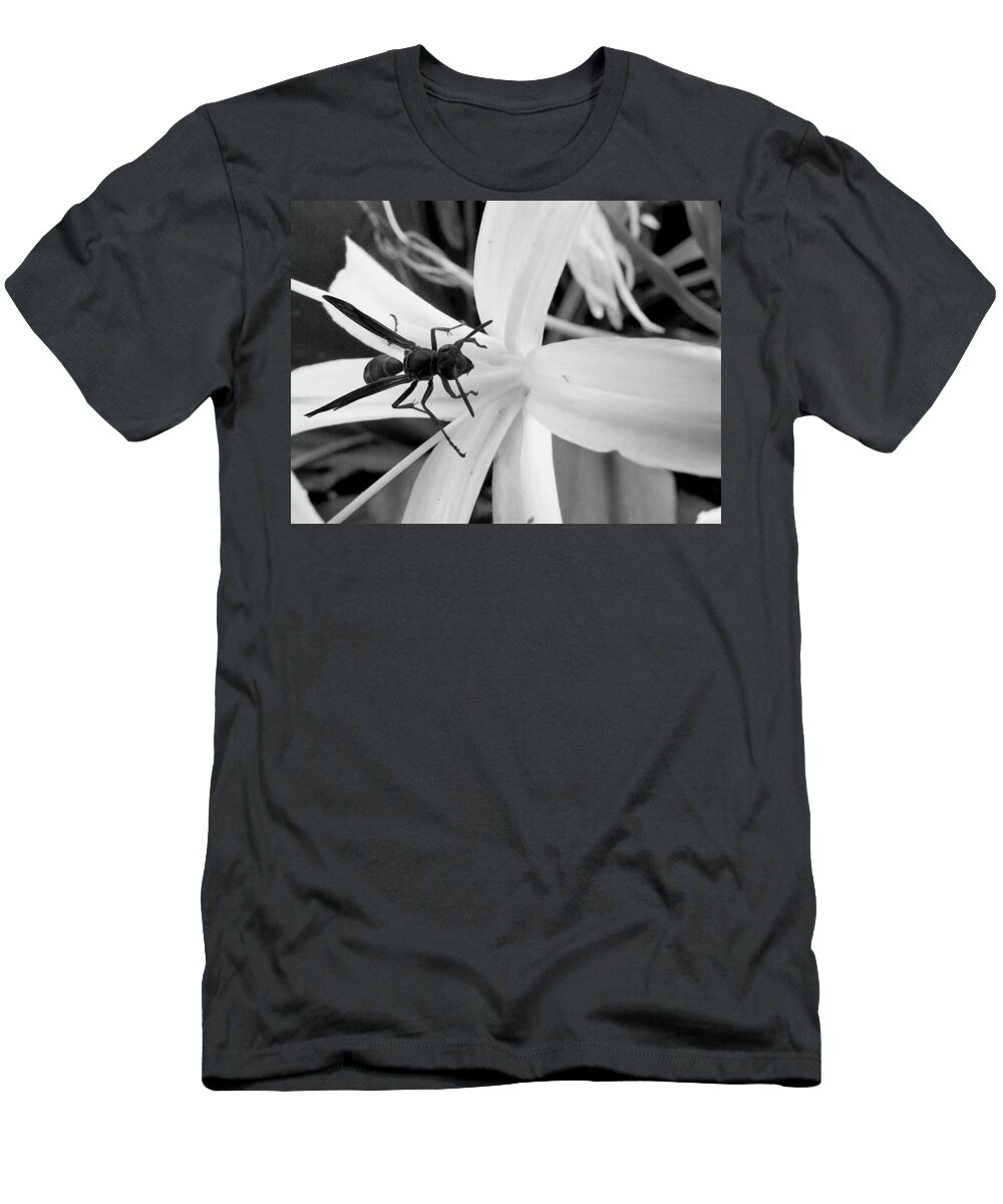 Wasp T-Shirt featuring the photograph Black and White Red Paper Wasp and Spider Lily by Christopher Mercer
