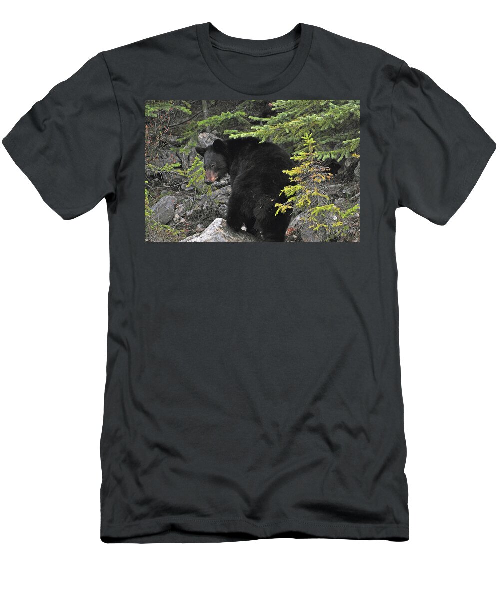 Black Bear T-Shirt featuring the photograph Black Bear in Rocks by Michelle Halsey