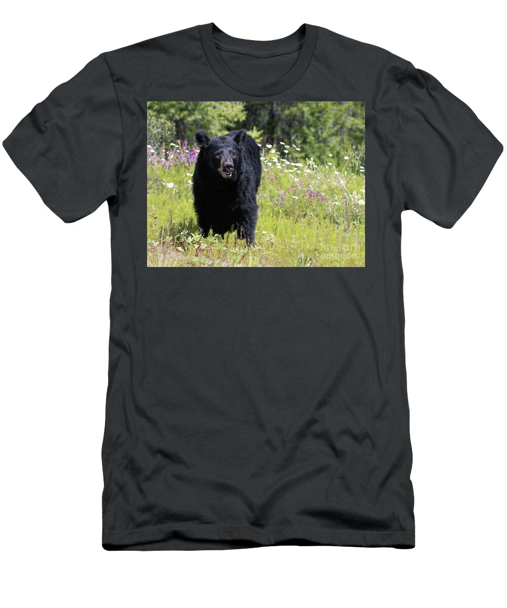 Bear T-Shirt featuring the photograph Black Bear on Hillside by Art Cole