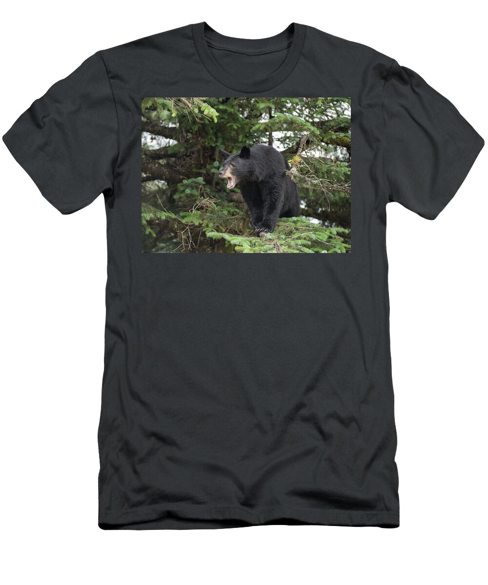 Black Bear T-Shirt featuring the photograph Black Bear Yawn by David Kirby