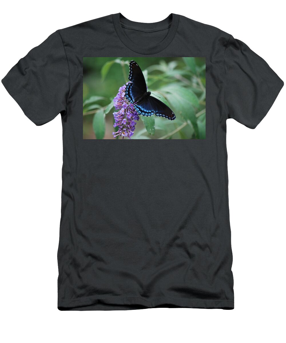 Butterfly T-Shirt featuring the photograph Black Beauty by Lori Tambakis