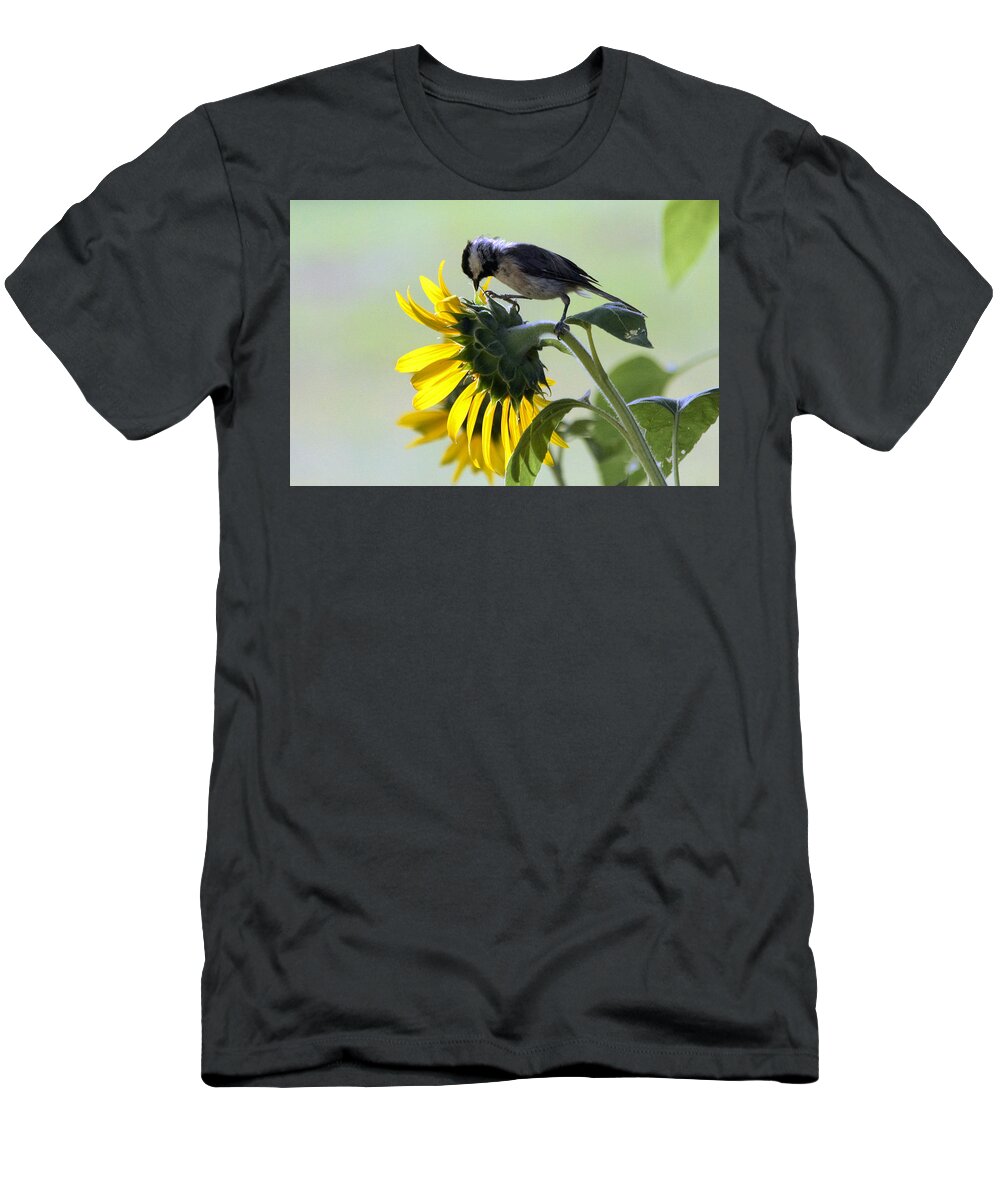 Nature T-Shirt featuring the photograph Black-Capped Chickadee on Sunflower by Sheila Brown