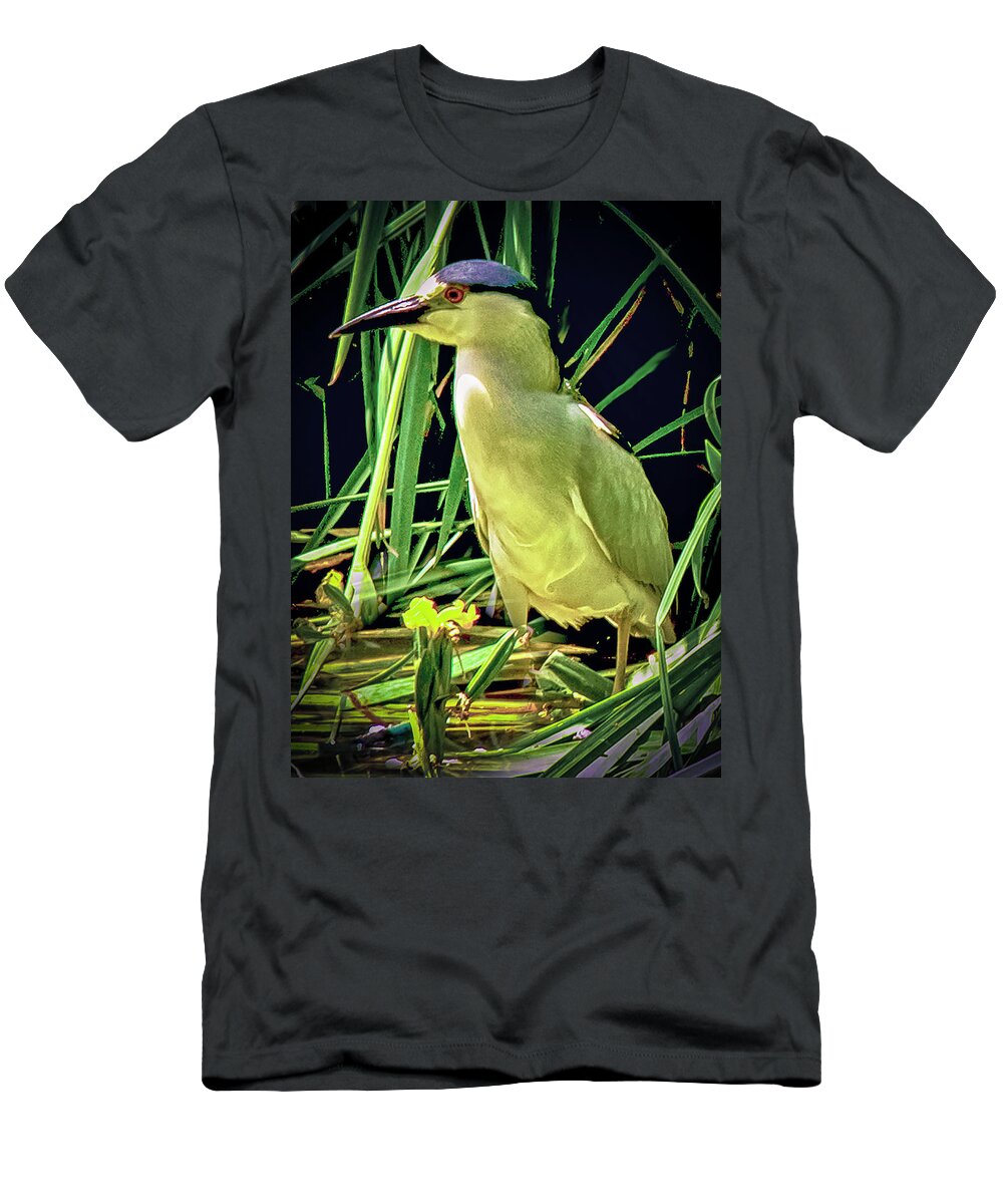 Birds T-Shirt featuring the photograph Black Crowned Night Heron by Joseph Hollingsworth