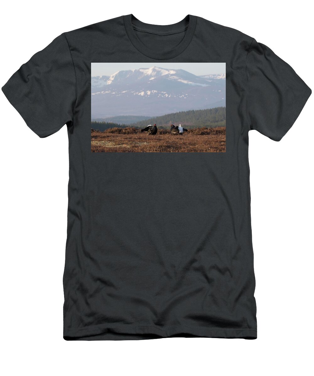 Black Grouse T-Shirt featuring the photograph Black Grouse Mountains by Pete Walkden