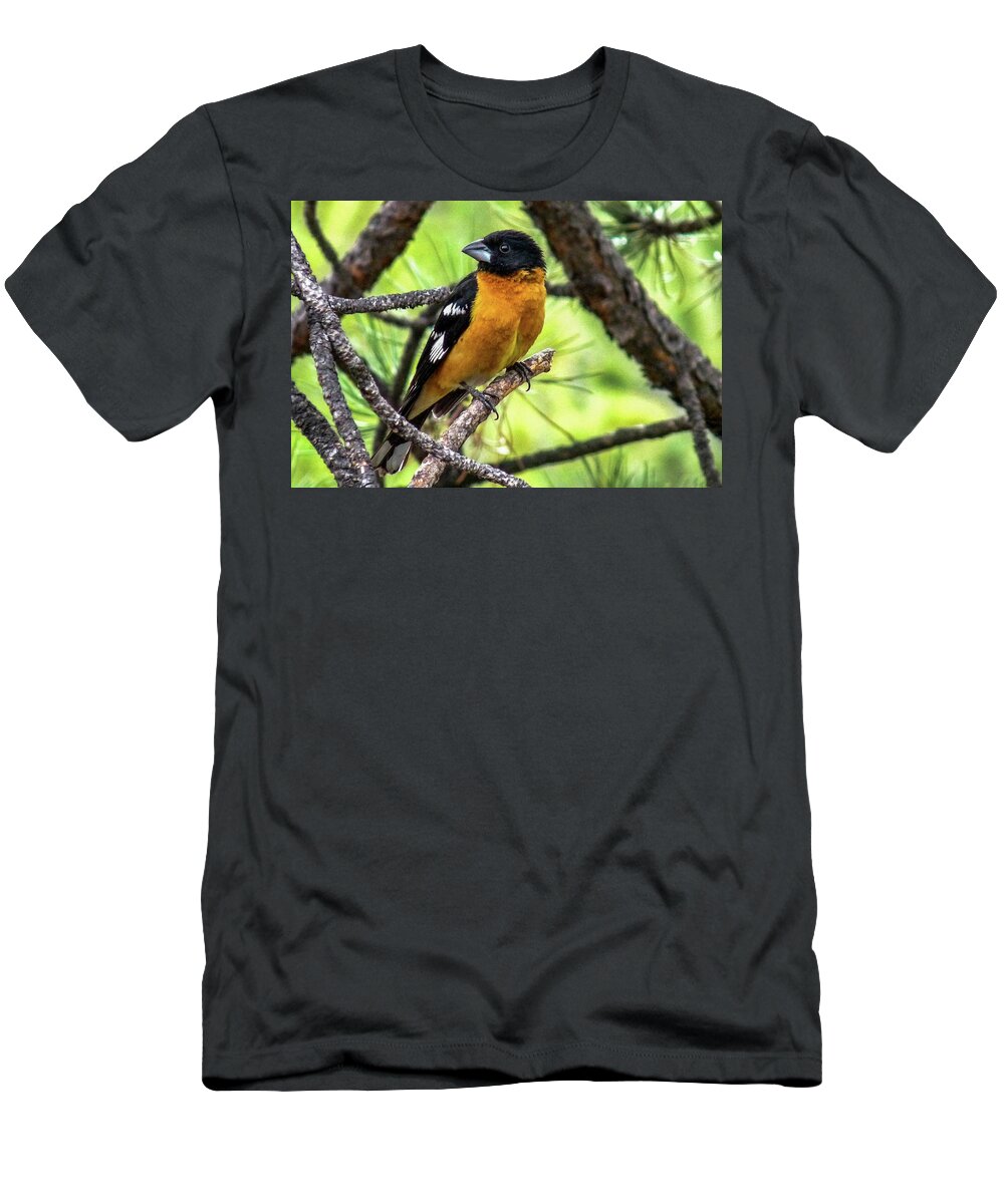 Colorado T-Shirt featuring the photograph Black-headed Grosbeak by Marilyn Burton