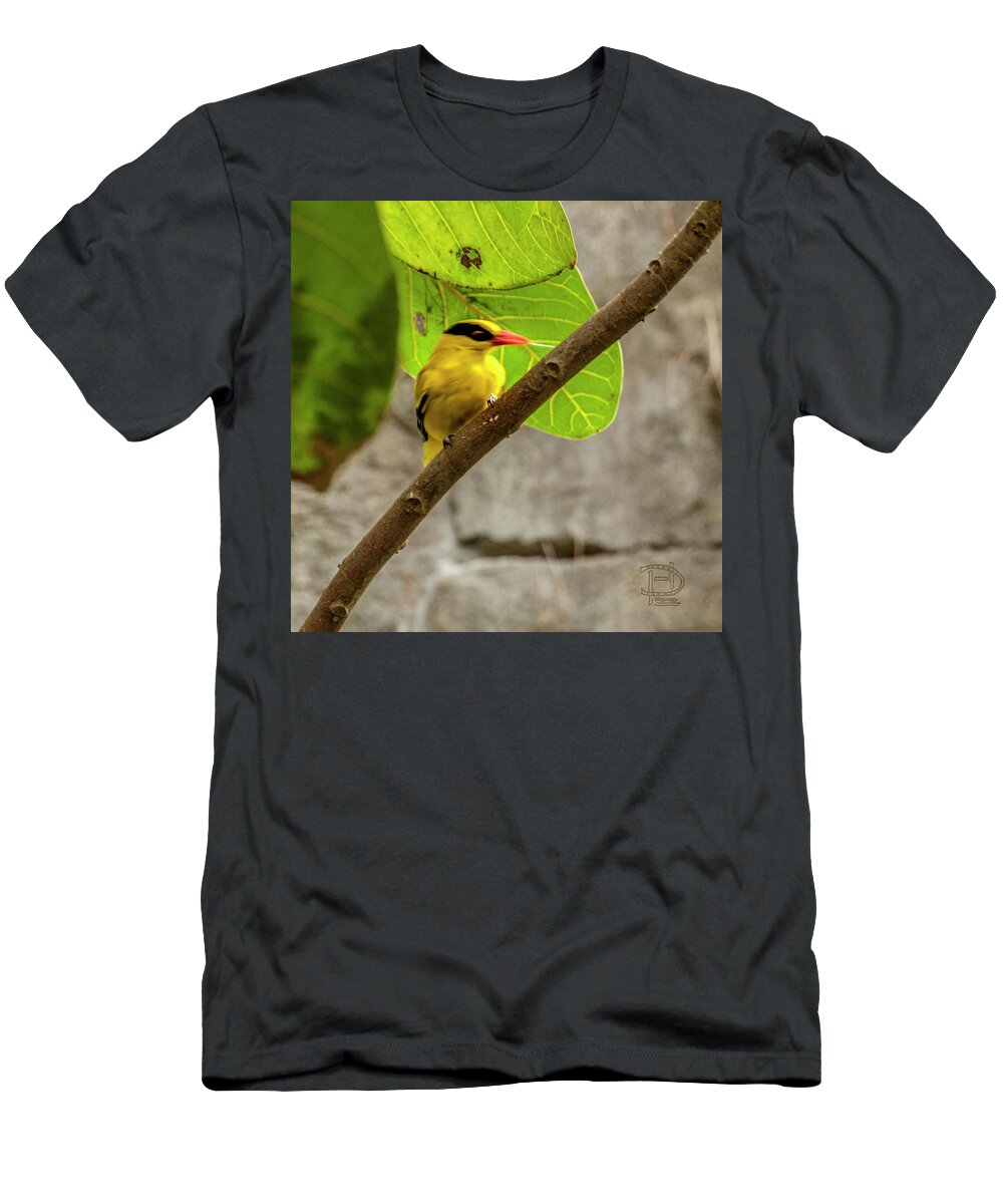  Black -napped Oriole T-Shirt featuring the photograph Black -napped Oriole, by Daniel Hebard