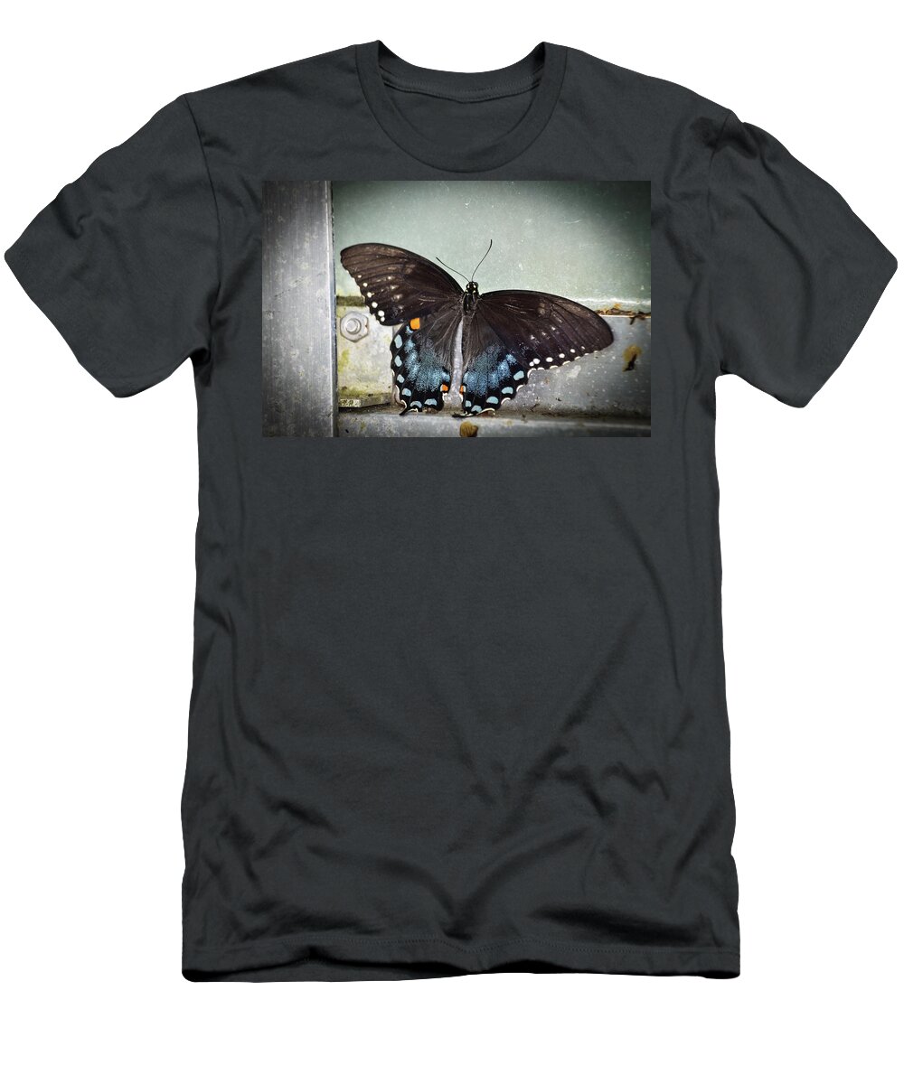 Butterfly T-Shirt featuring the photograph Black Swallowtail on Window by Artful Imagery