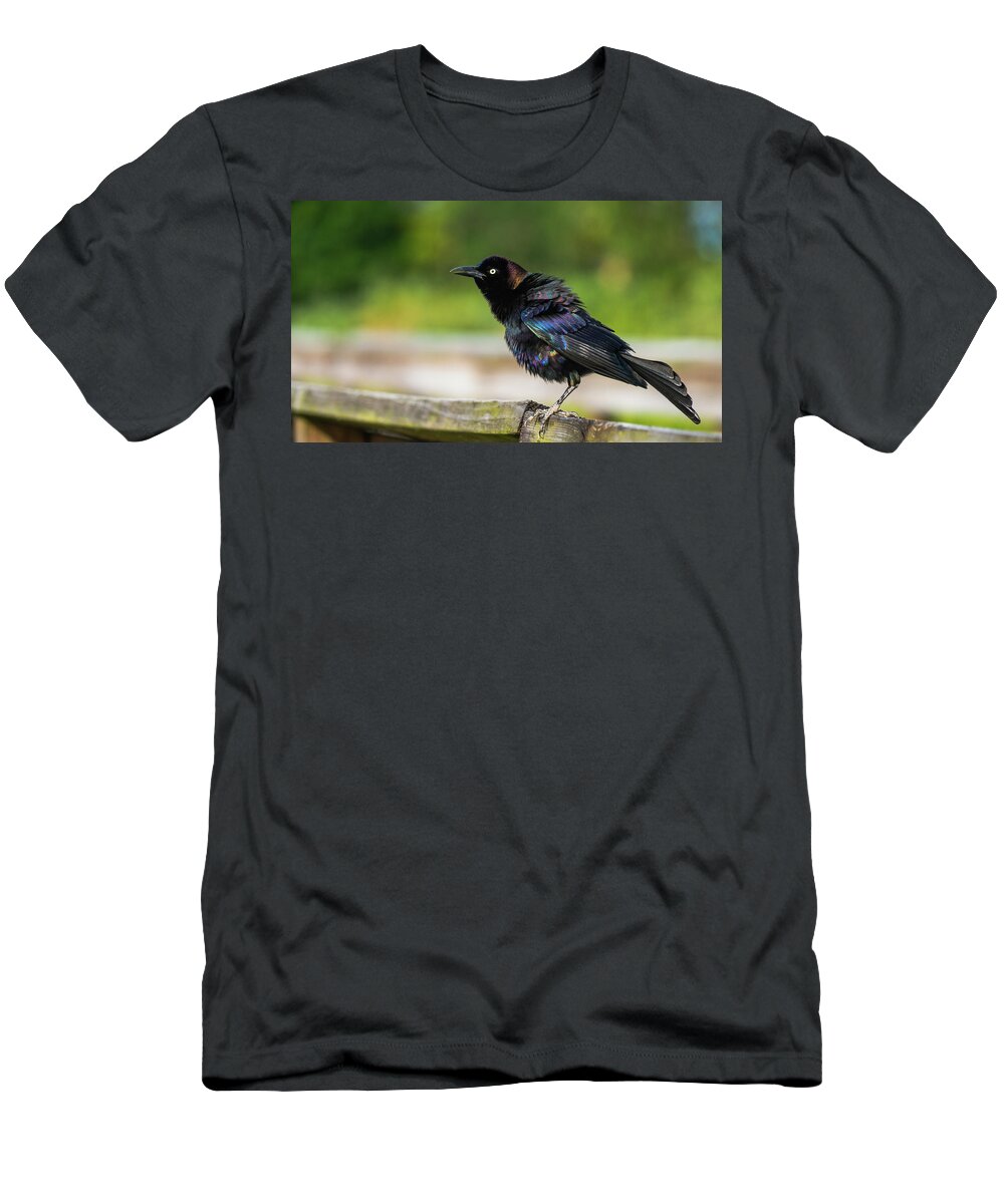 Florida T-Shirt featuring the photograph Blackbird Rainbow Green Cay Wetlands Boynton Beach Florida by Lawrence S Richardson Jr