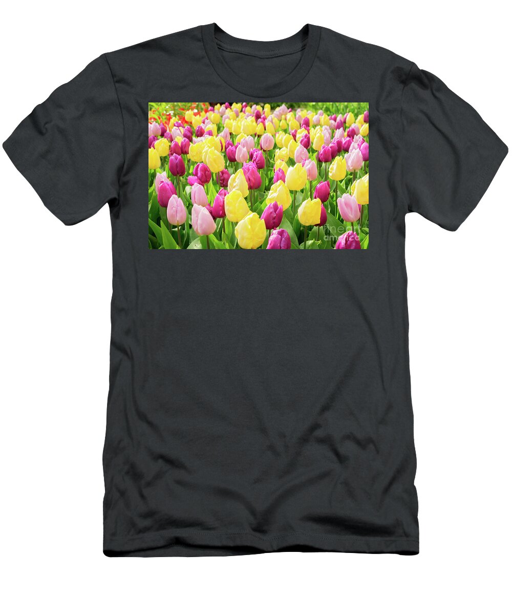 Netherlands T-Shirt featuring the photograph Bloom of Tulips by Anastasy Yarmolovich