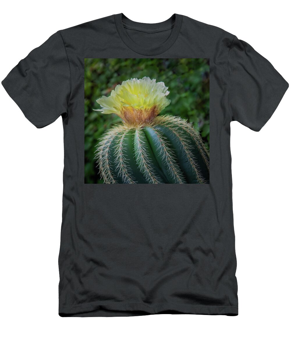 Blooming T-Shirt featuring the photograph Blooming Cactus by James Woody