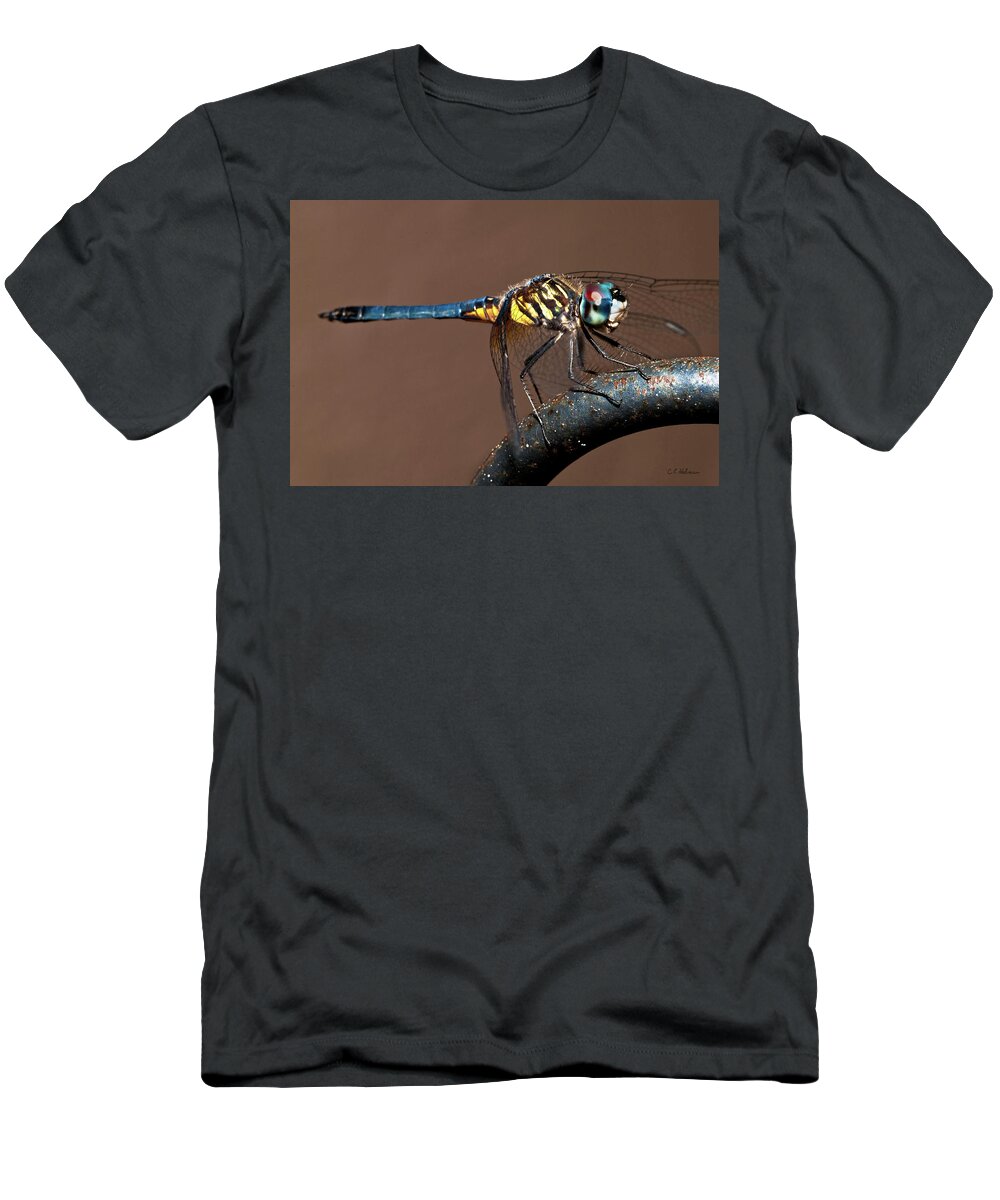 Dragonfly T-Shirt featuring the photograph Blue and Gold Dragonfly by Christopher Holmes