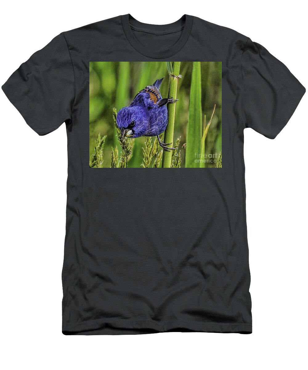 Animal T-Shirt featuring the photograph Blue Grosbeak on a reed by Nick Zelinsky Jr