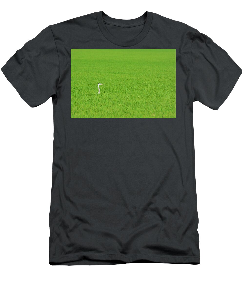 Blue Heron T-Shirt featuring the photograph Blue Heron in Field by Josephine Buschman