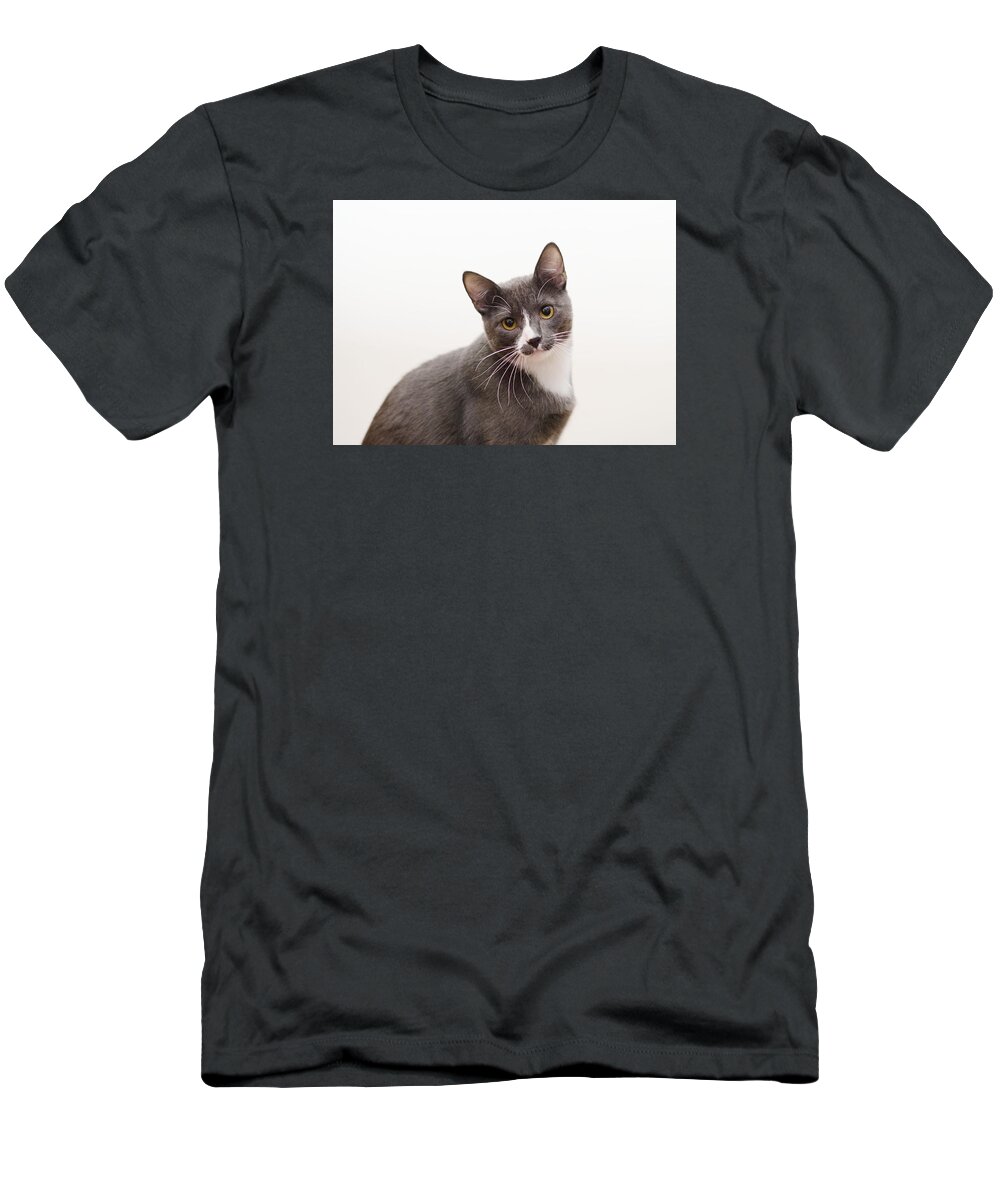 Grey And White Cat T-Shirt featuring the photograph Blue by Irina ArchAngelSkaya