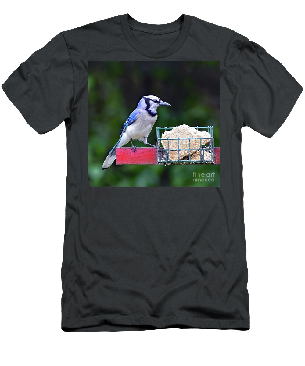 Bird T-Shirt featuring the photograph Blue Jay - Cyanocitta Cristata by DB Hayes