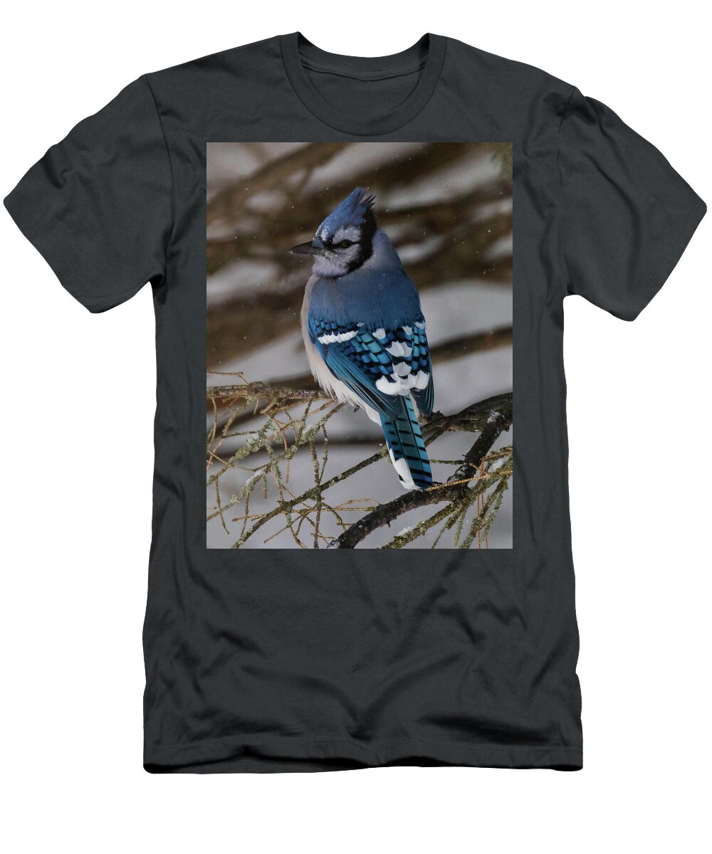 Bird T-Shirt featuring the photograph Blue Jay by Jody Partin