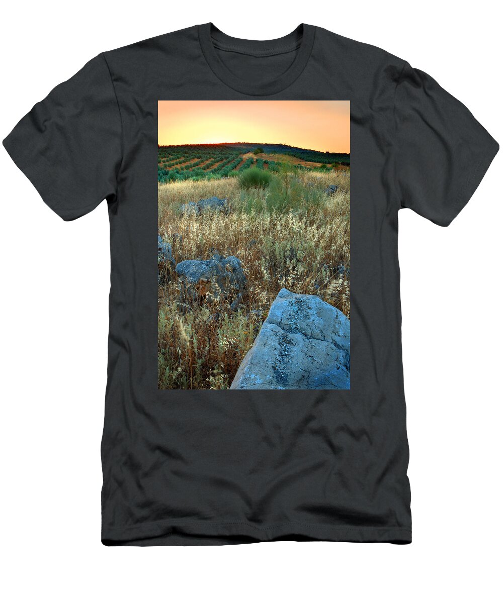 Iznajar T-Shirt featuring the photograph blue stones amongst the olive groves near Iznajar Andalucia Spain by Mal Bray