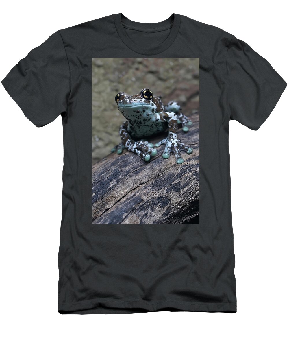 Animal T-Shirt featuring the photograph Blue Tree Frog by Jaroslaw Blaminsky