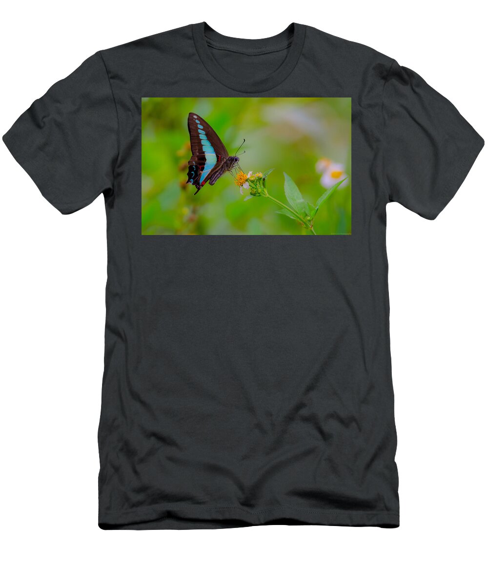 Blue Triangle T-Shirt featuring the photograph Blue Triangle Butterfly on Okuma by Jeff at JSJ Photography