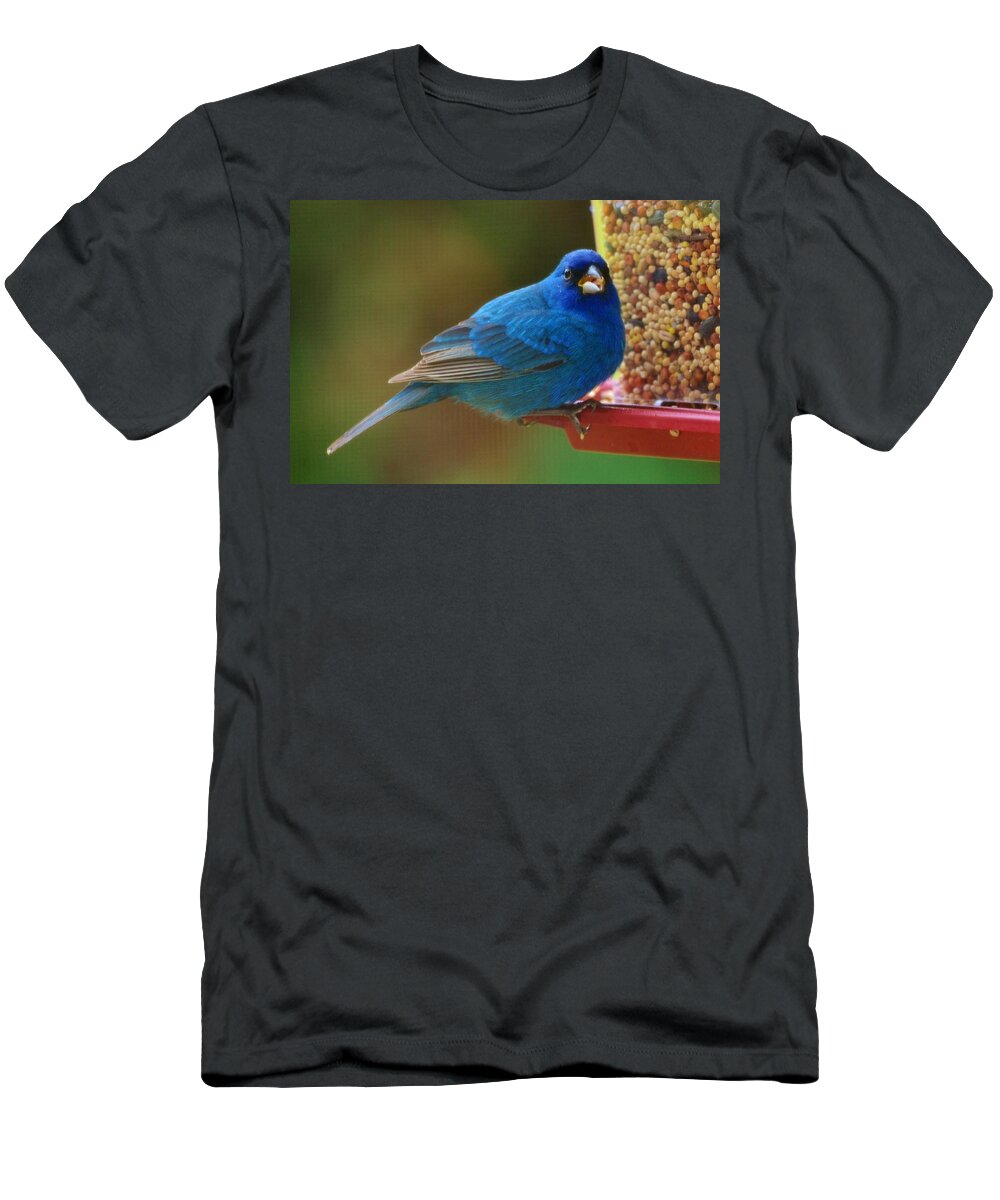 Blue T-Shirt featuring the photograph Indigo Bunting by Eileen Brymer