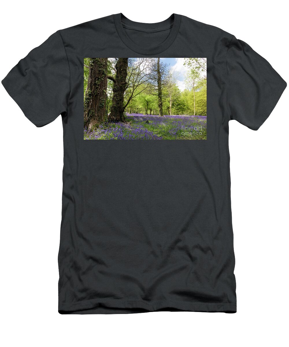 Bluebell T-Shirt featuring the photograph Bluebell Season by Terri Waters