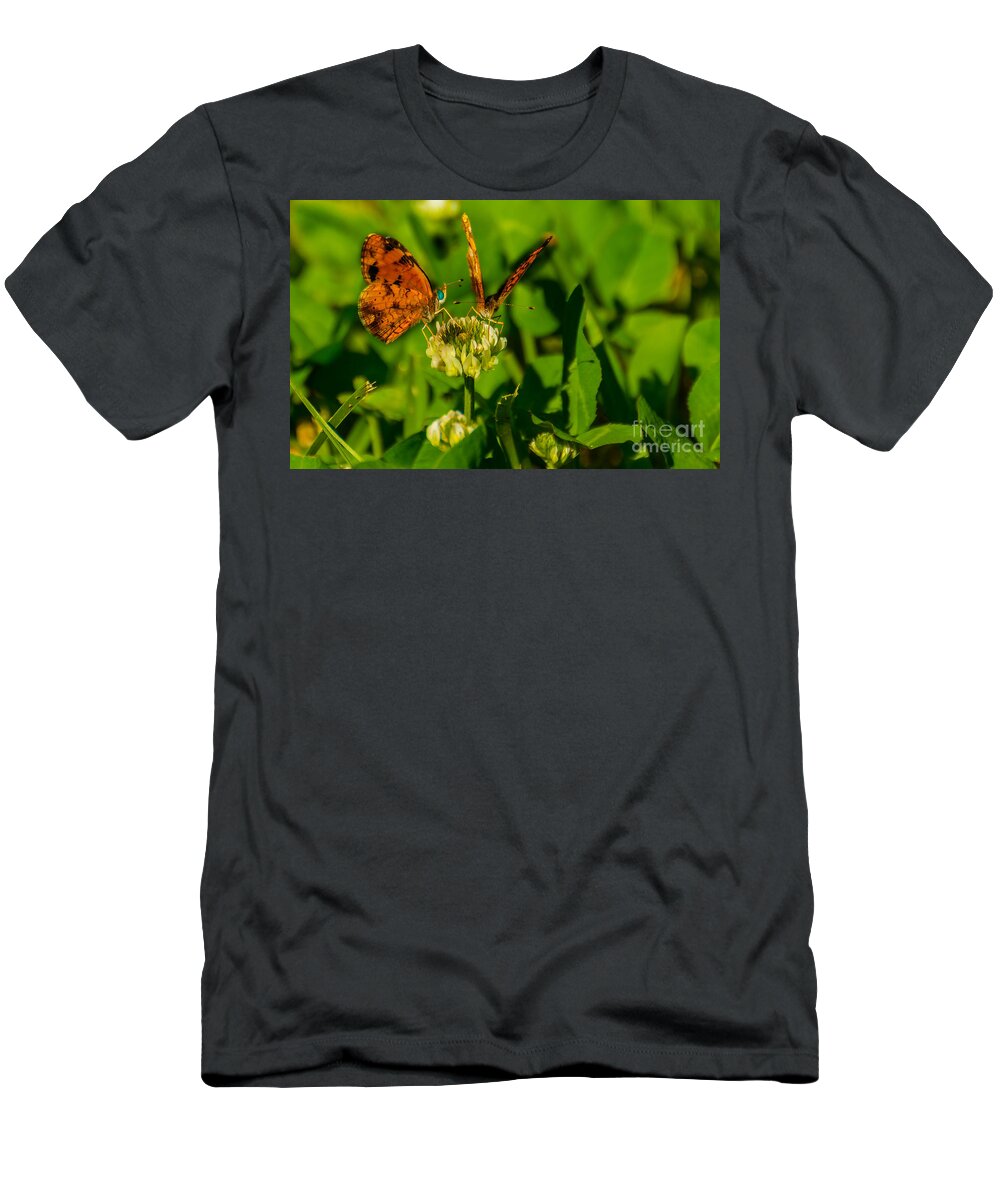 Butterfly T-Shirt featuring the photograph Bluehead Butterfly by Metaphor Photo