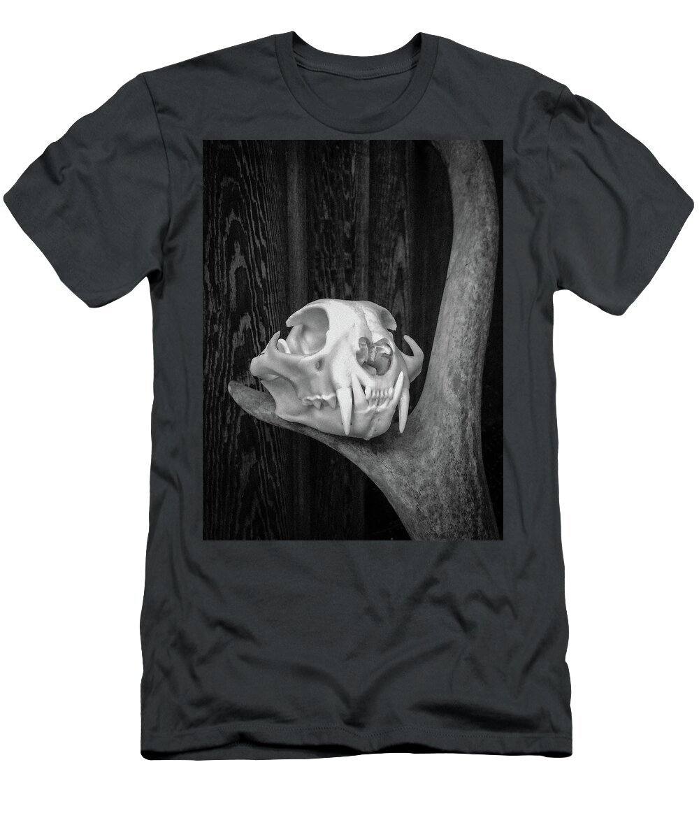 Bobcat Skull T-Shirt featuring the photograph Bobcat Deer Antler BW 2 by Ronda Broatch