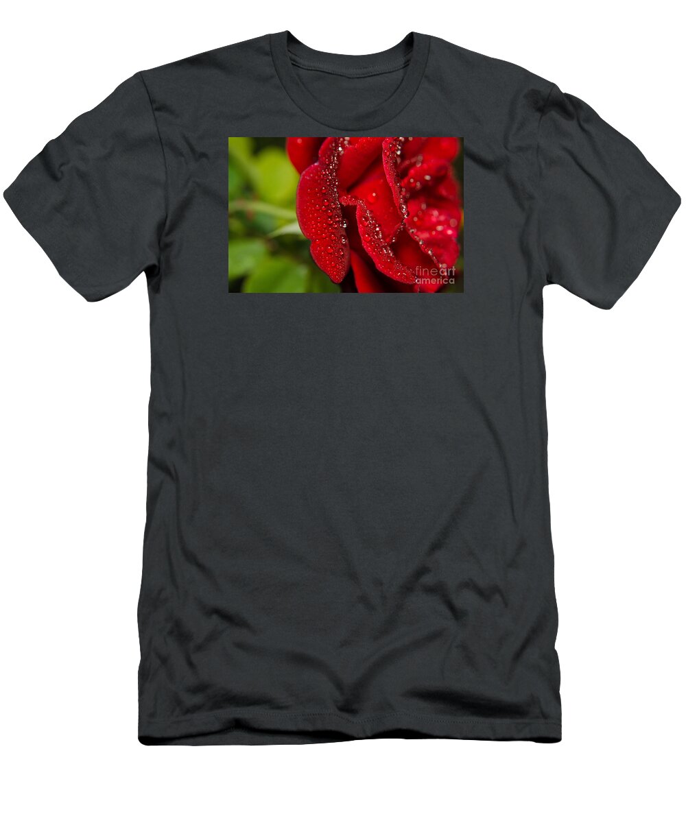 Floral T-Shirt featuring the photograph Bold and Beautiful Rose Botanical / Nature / Floral Photograph by PIPA Fine Art - Simply Solid