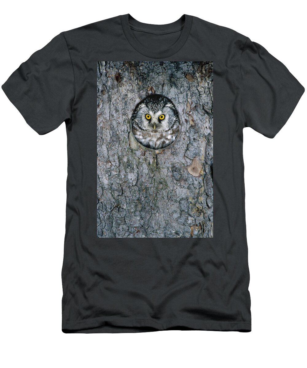 Mp T-Shirt featuring the photograph Boreal Owl Aegolius Funereus Peaking by Konrad Wothe