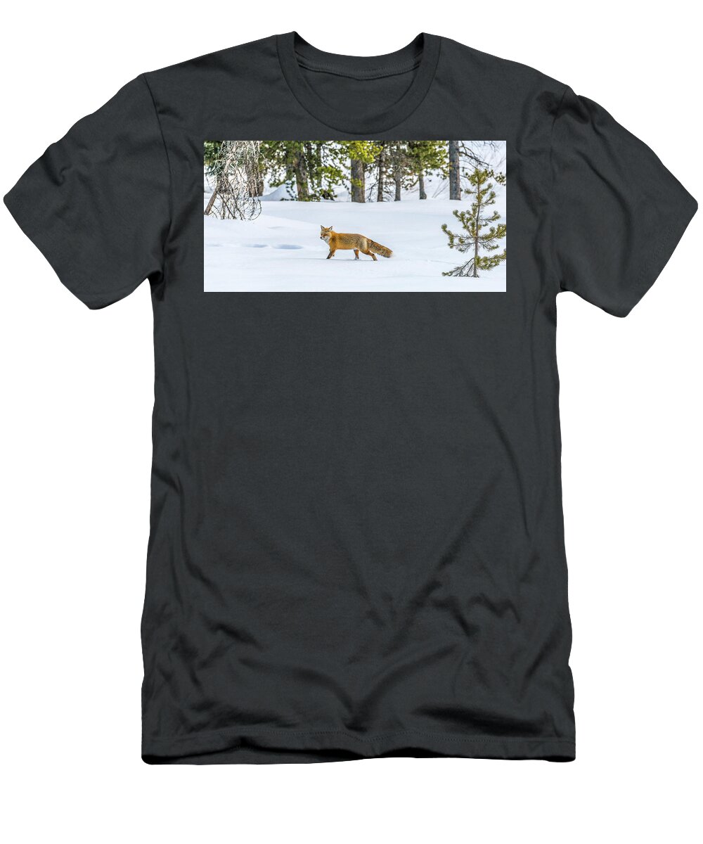 Running T-Shirt featuring the photograph Born To Run by Yeates Photography