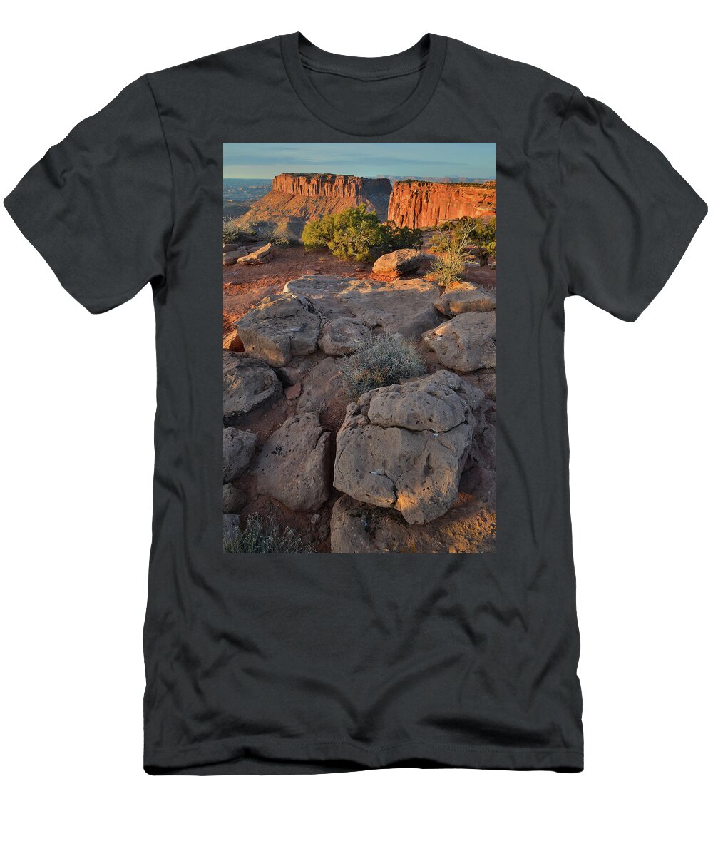 Canyonlands National Park T-Shirt featuring the photograph Boulders at Grand View Point in Canyonlands National Park by Ray Mathis
