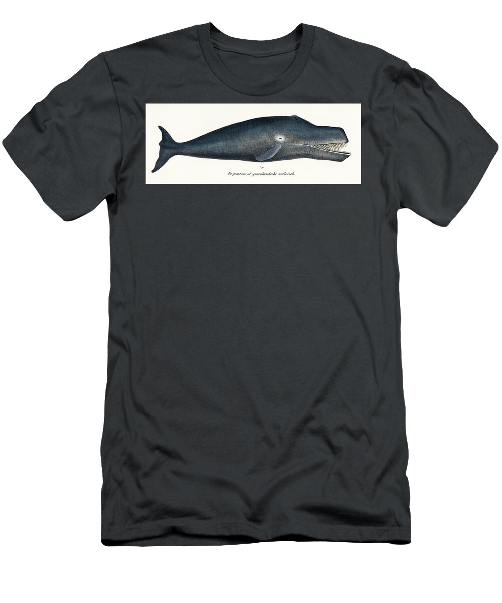 1824 T-Shirt featuring the painting Bowhead Whale by Vincent Monozlay