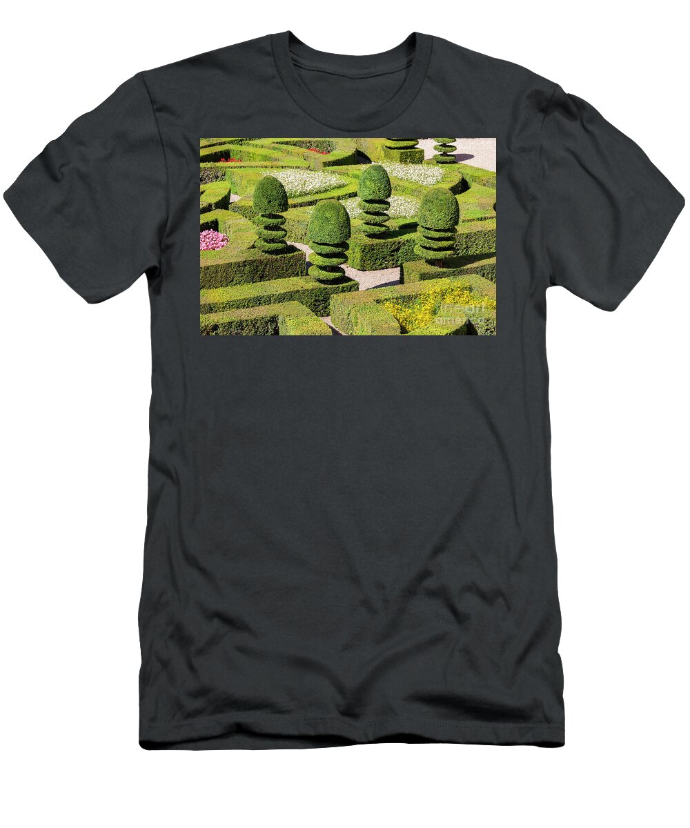 Garden T-Shirt featuring the photograph Box Hedges Garden by Heiko Koehrer-Wagner