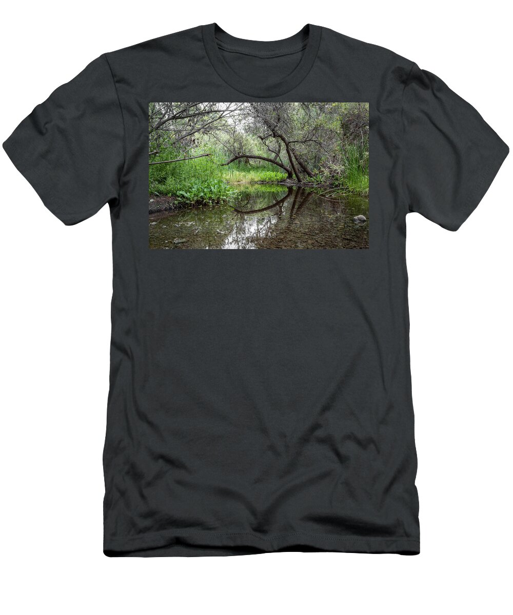 Tree T-Shirt featuring the photograph Branch Reflections by Alison Frank