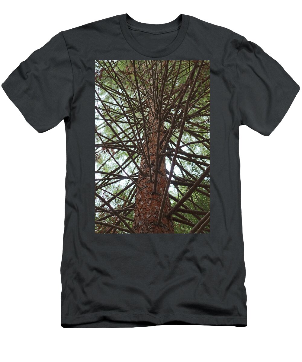 Branches T-Shirt featuring the photograph Branches by Christy Pooschke