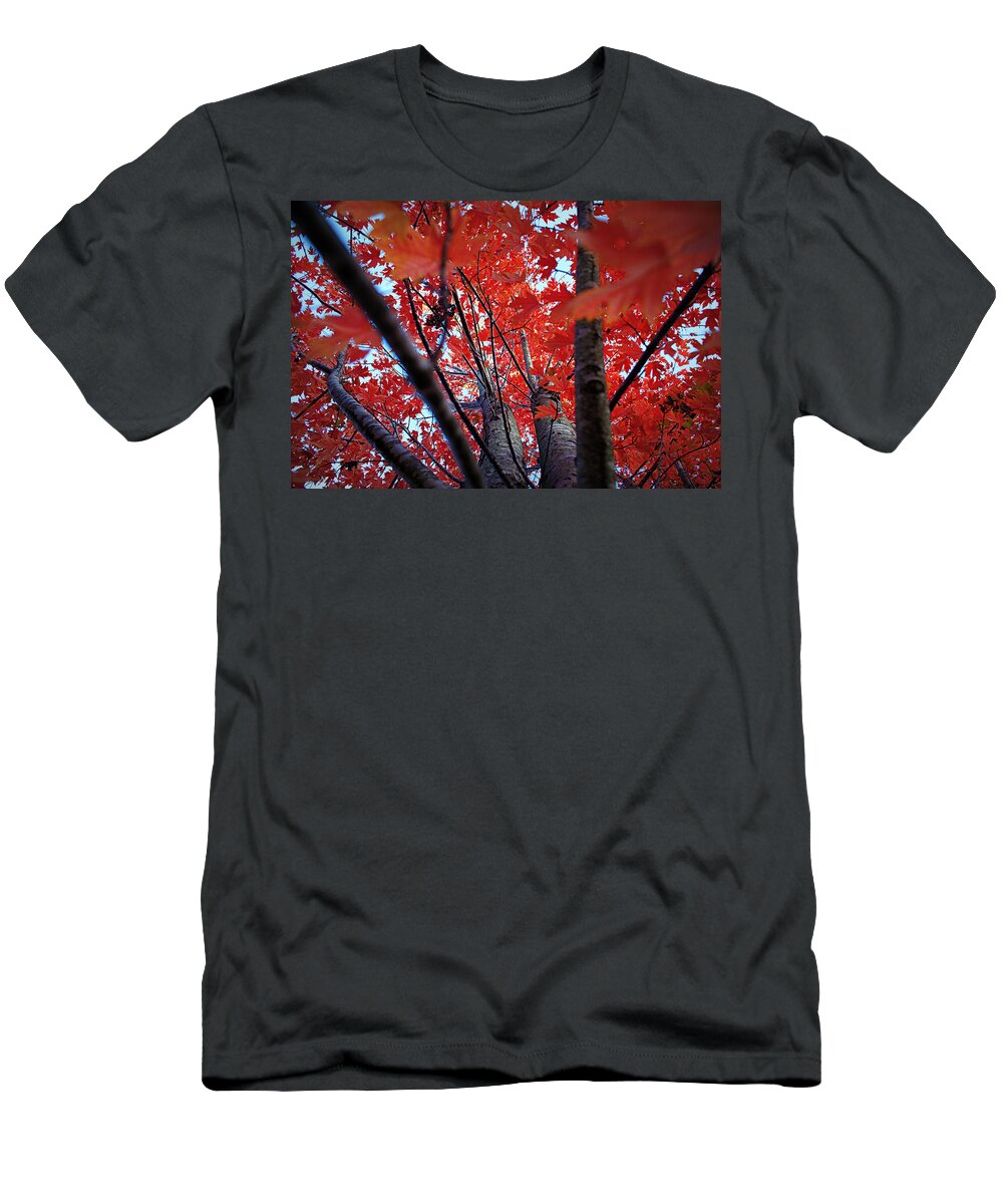Red T-Shirt featuring the photograph Branches of Autumn's Blaze by Cricket Hackmann