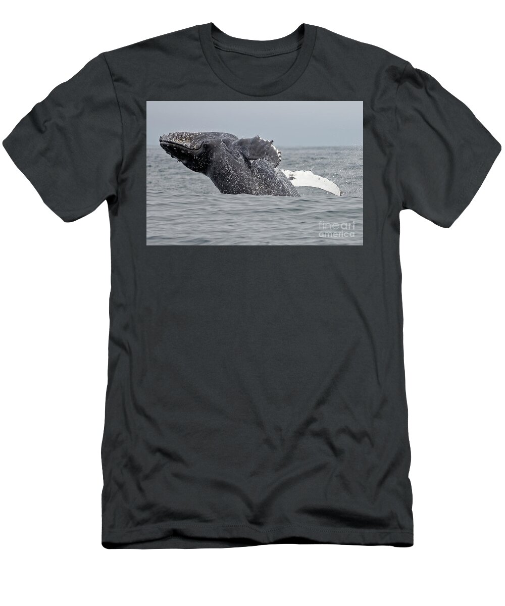 Humpback T-Shirt featuring the photograph Breach by Natural Focal Point Photography