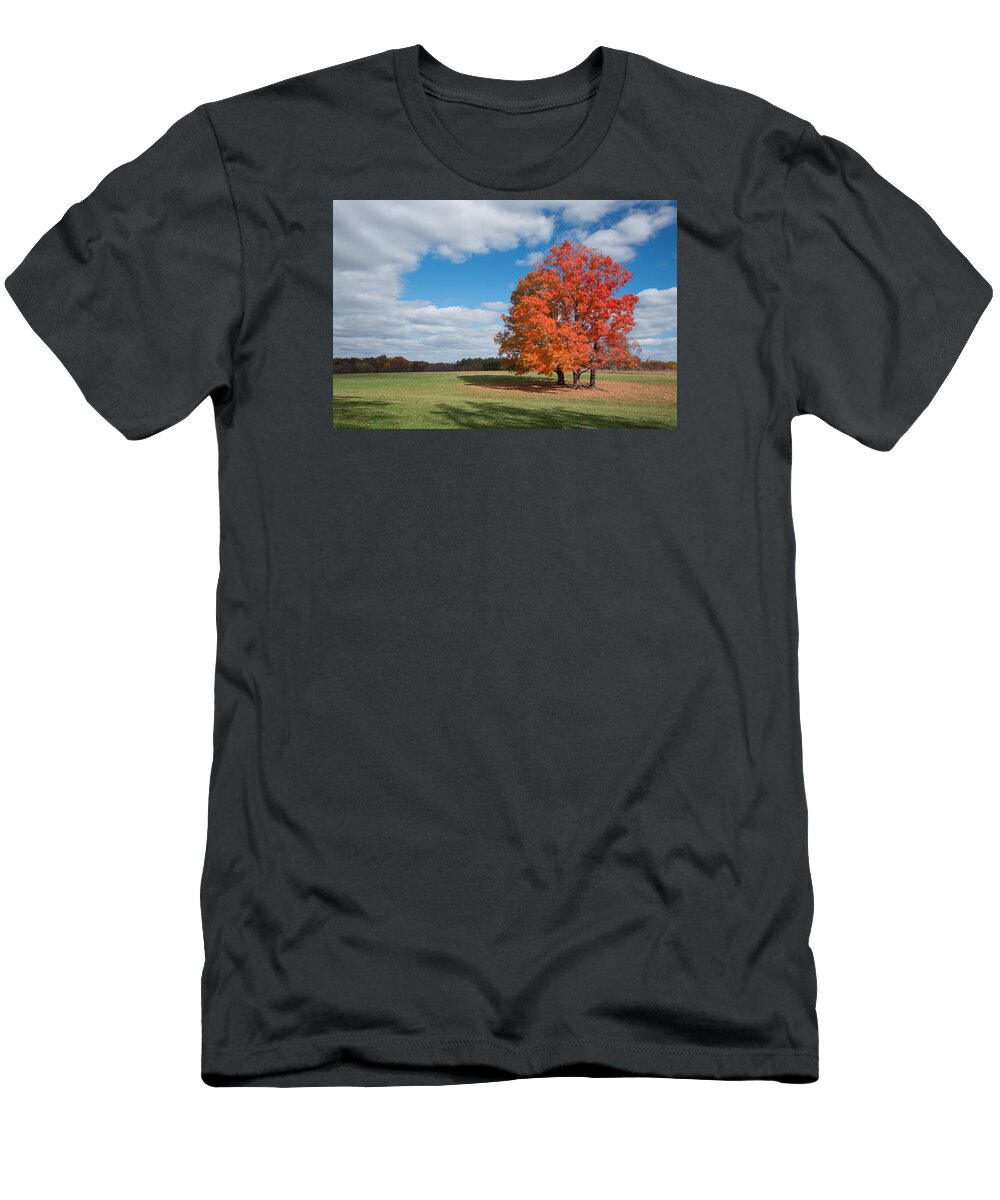 Canon T-Shirt featuring the photograph Bright Orange Tree in Va. by Jack Nevitt