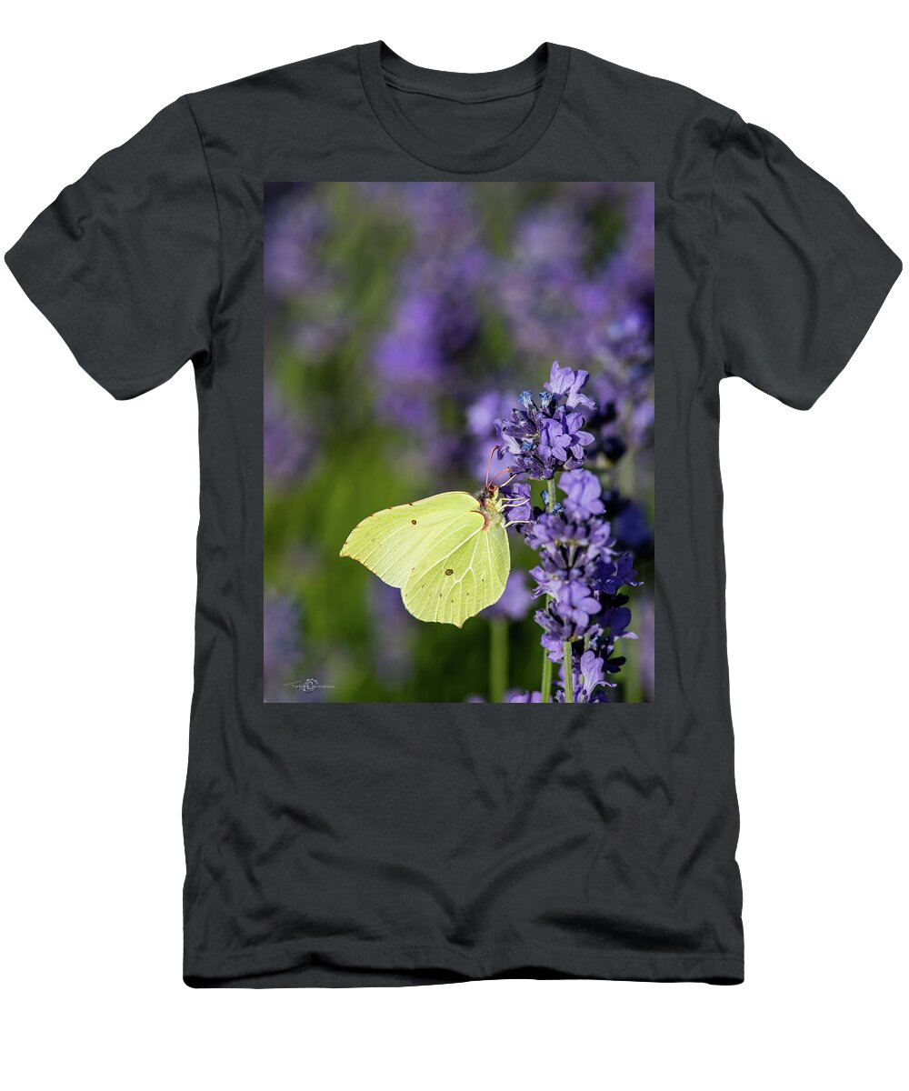 Brimstone T-Shirt featuring the photograph Brimstone butterfly and the lavender by Torbjorn Swenelius