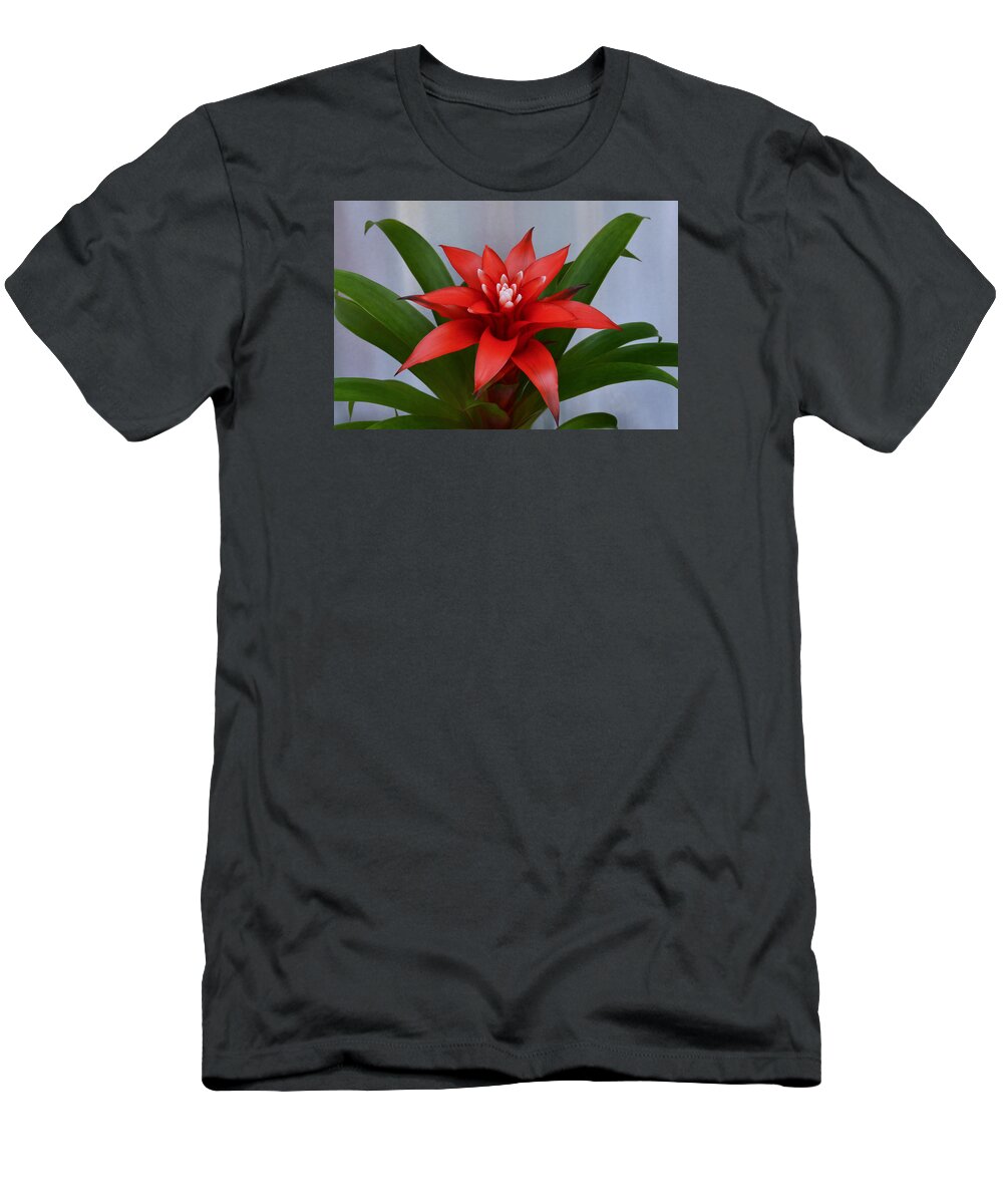 Bromeliad T-Shirt featuring the photograph Bromeliad by Terence Davis