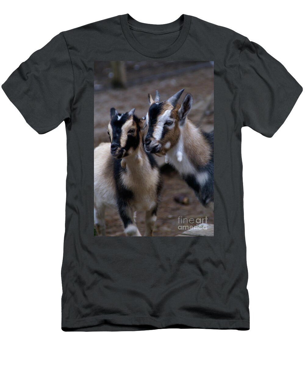 Goat T-Shirt featuring the photograph Brothers by Linda Shafer