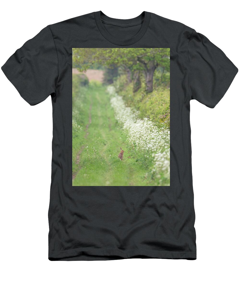 Brown T-Shirt featuring the photograph Brown Hare On Wild Flower Track by Pete Walkden