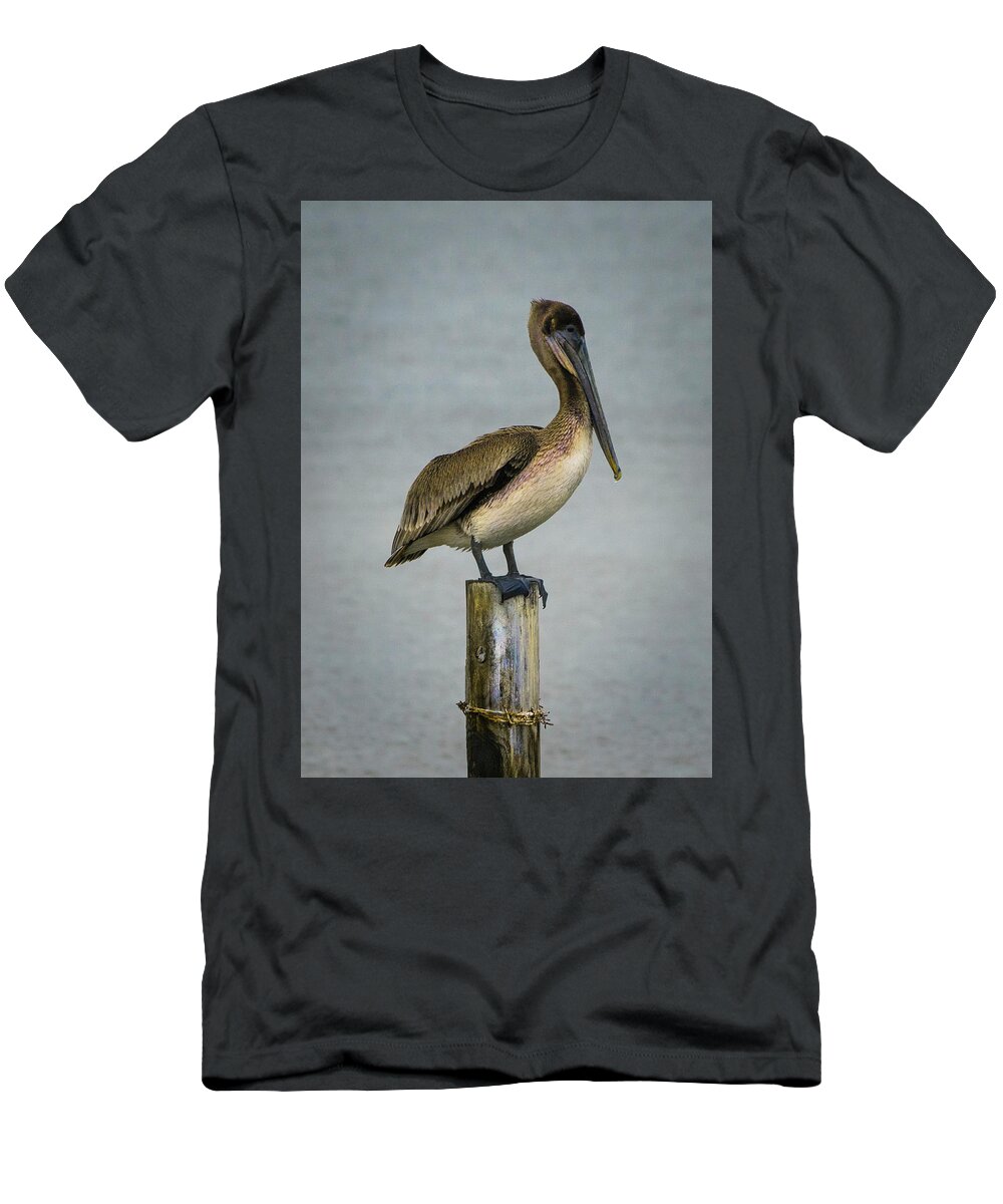 Pelican T-Shirt featuring the photograph Brown Pelican by Paula Ponath