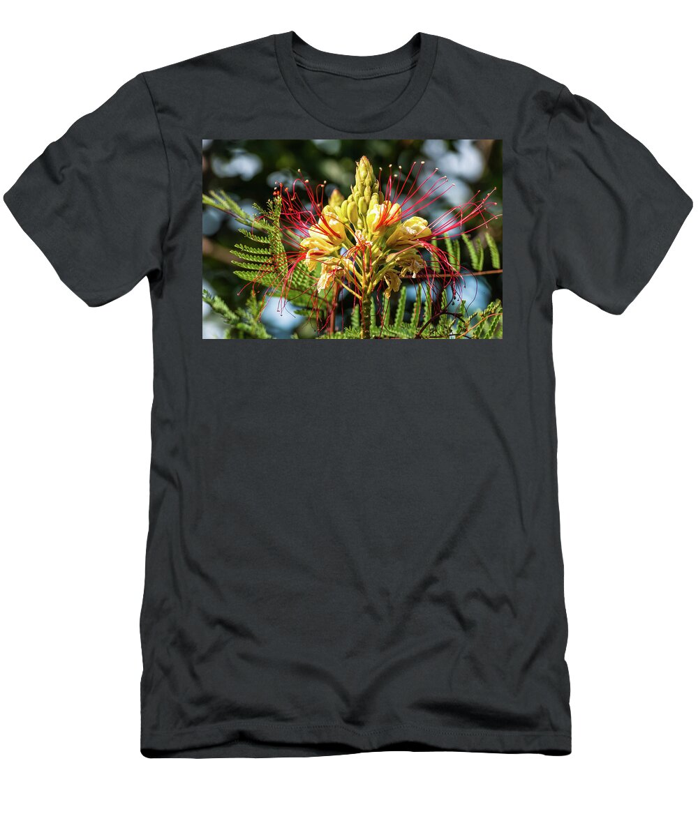 Flower T-Shirt featuring the photograph Burst Of Beauty by Charles McCleanon